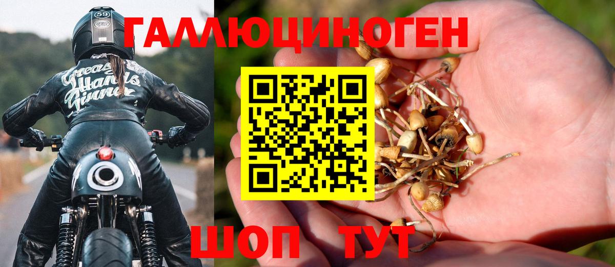 Зима  Галлюциногенные грибы мухоморы  Вход с VPN 