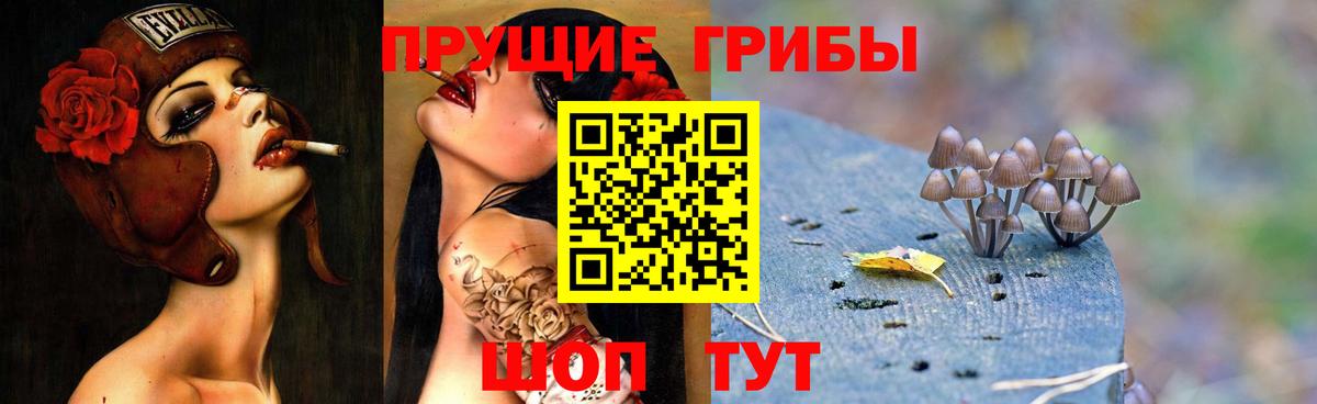 Псилоцибиновые грибы Magic Shrooms Зима